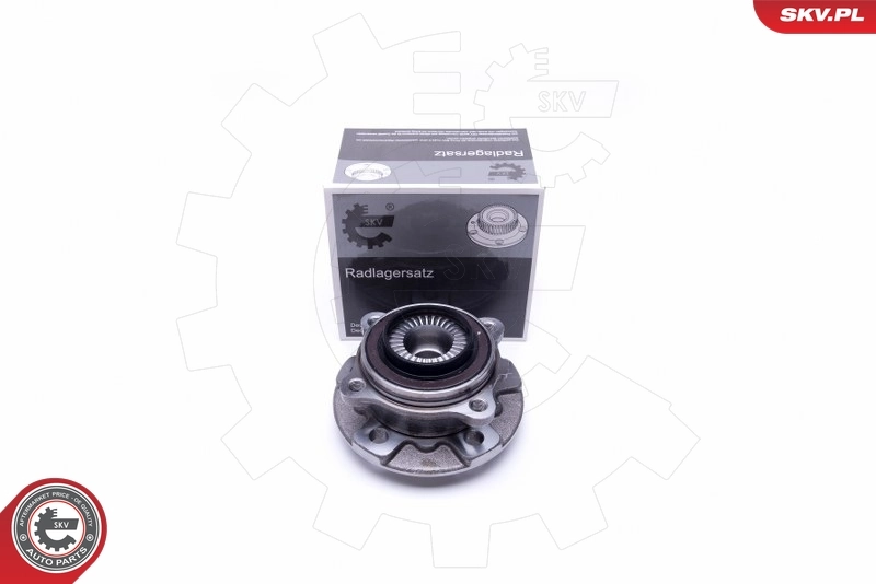 Wheel Bearing Kit